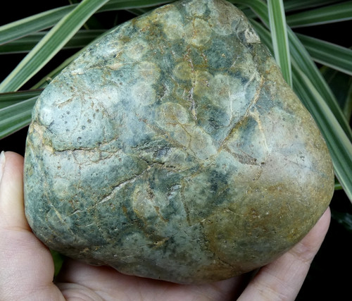 Variolite pierre venin - pierre,