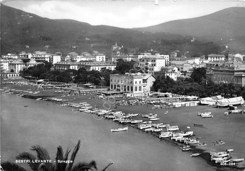 Cartolina sestri levante - cartolina,