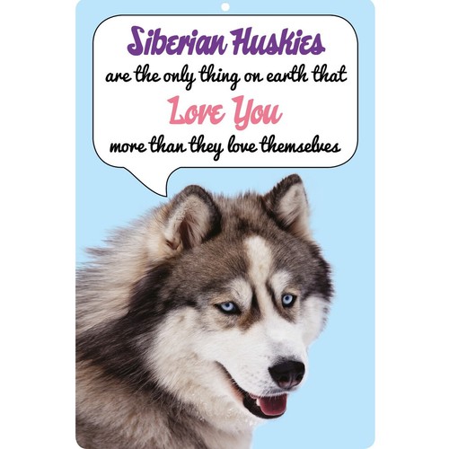 Insegna cane siberian husky - siberian,