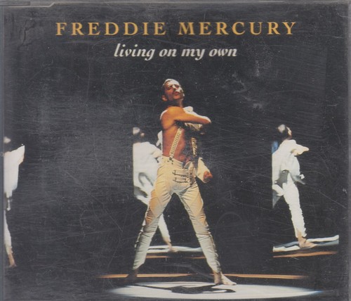 Maxi freddie - 🎧,