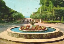 do682 cartolina