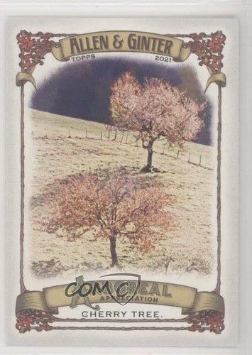 2021 topps allen ginter s - 2021, ginter's