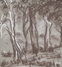 Disegno carbone gesso