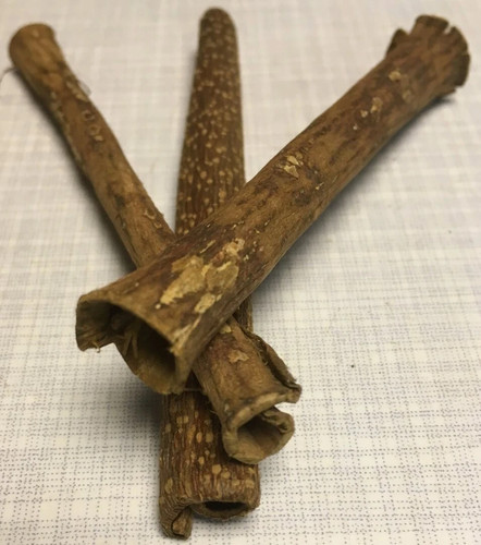Tubo corteccia mandorlo - x,