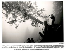 LG980 Orig Sam Abell Photo