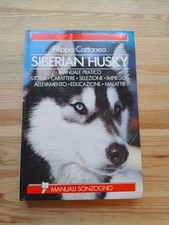 Siberian Husky Filippo