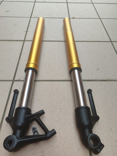 Forcelle anteriori usd triumph - forcelle,