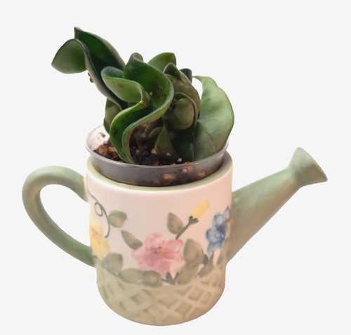 Annaffiatoio miniatura