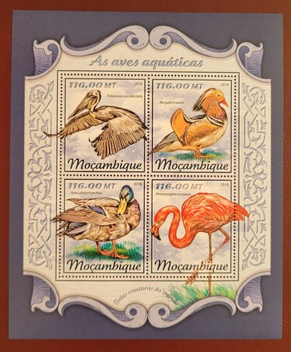 Mozambico 2018 water birds - /,