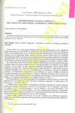 CHESSA L.A. - OGGIANO A.M. -