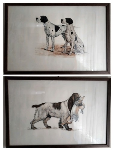 Stampe cani caccia - caccia, jean