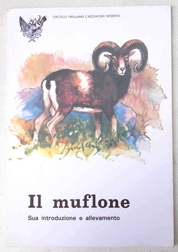 Muflone sua introduzione e - introduzione,