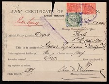 1900 Rhodesia Nuovo