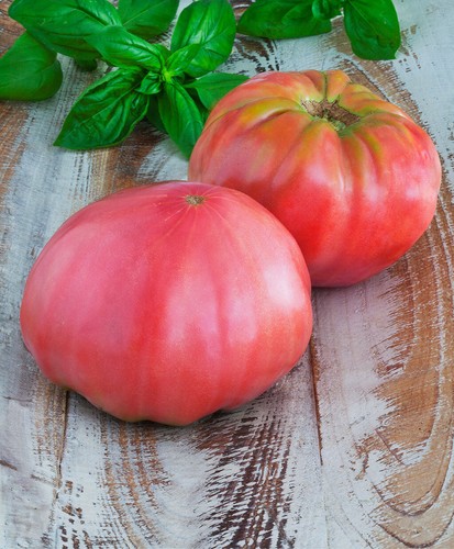 Semi brandywine pomodoro - 30,