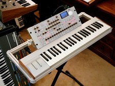 MUST SEE!!! KORG RADIAS