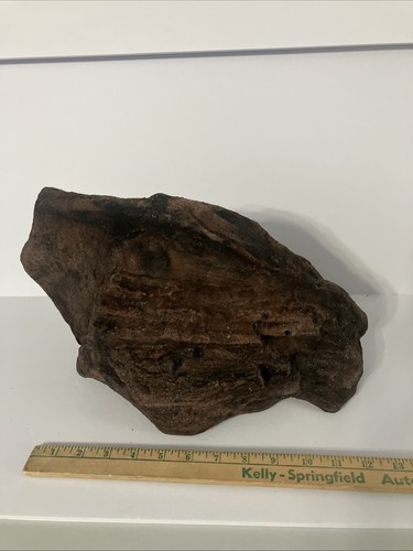 Pietra per terrario anfibi - pietra,