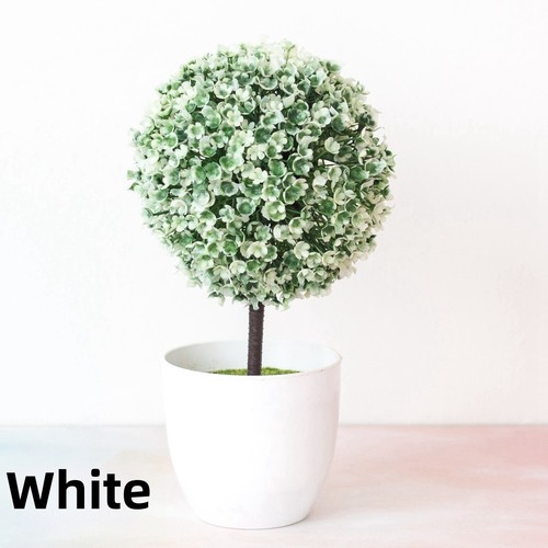 Bonsai seta palla neve - bonsai, di
