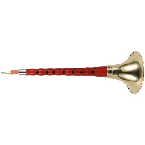 Strumenti fiato strumento - ,
