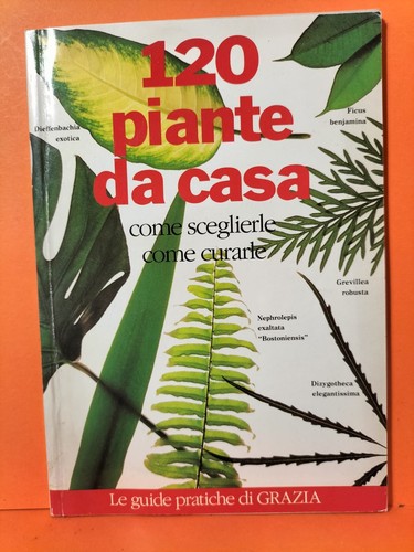 120 piante casa come - 120,