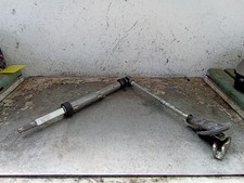 CANNA DELLO STERZO (PIANTONE)