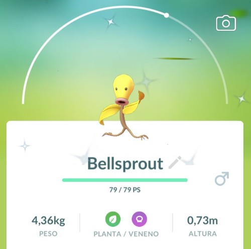 Pokemon shiny bellsprout - shiny,