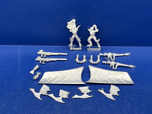 Raro wyvern kit - raro!,