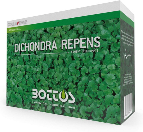 Dicondra repens semi di - dicondra,