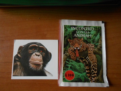 Figurina incontro con - figurina,