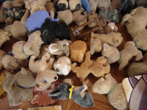 Cuccioli cerca amici - , lotto