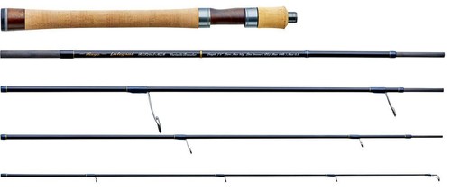 Tenryu rayz integral - tenryu,