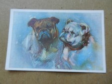 20114) COPPIA CANI TIPO BULLDOG