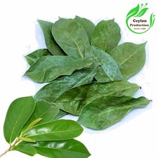 Foglie di Soursop Biologiche