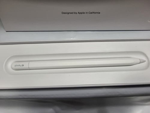 Nuovo apple pencil usb ipad - apple,