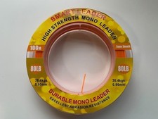 PESCA IN MARE SMART LEADER