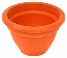 Fiori Piante Vaso Di