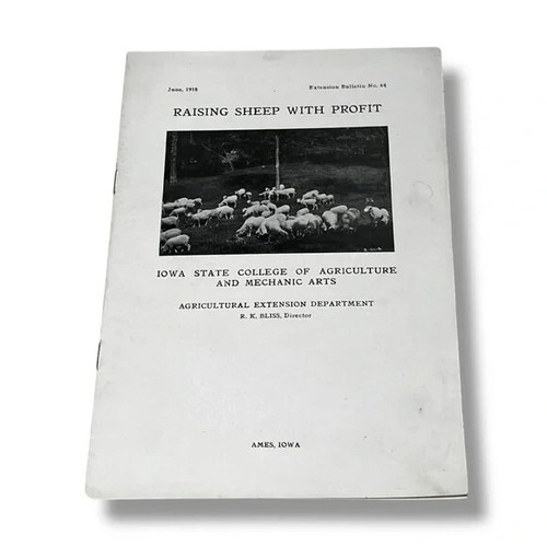 Raising sheep with profit - sheep, june