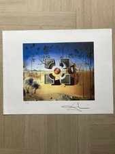 Salvador Dalì - Litografia cm