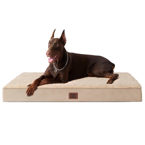 Cuccia cane interno taglia - cuccia,