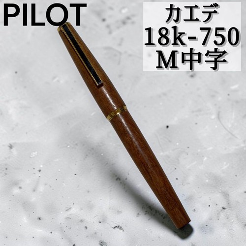 Penna stilografica pilot - stilografica,