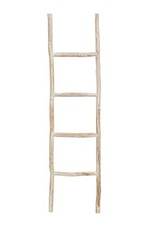 Biscottini Scala