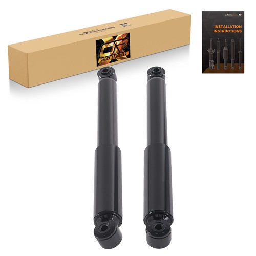 Ammortizzatore asse - 2x,
