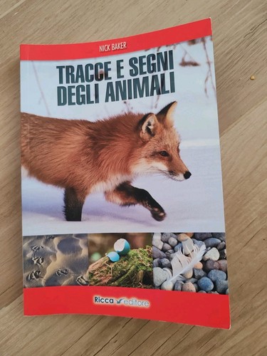 Tracce segni degli - e, animali