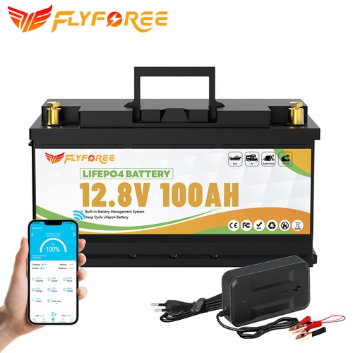 Batteria litio 12v 100ah - batteria,
