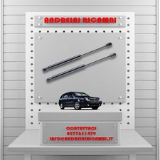 2 MOLLE A GAS BAGAGLIAIO