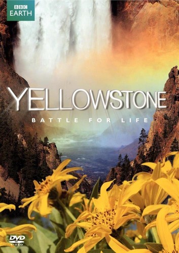 Yellowstone battle for life - battle,