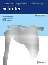Markus Scheibel / Expertise