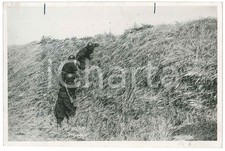 1942 WW2 FRONTE ORIENTALE Italiani lanciano bombe a mano contro i sovietici FOTO