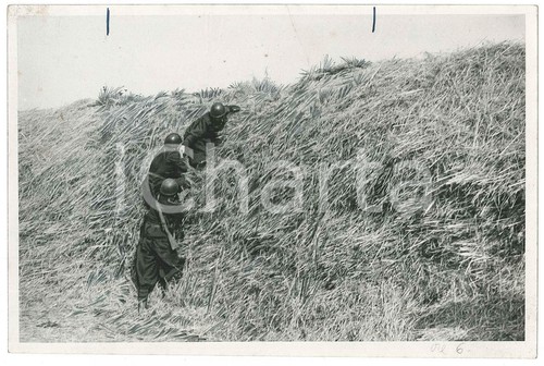 1942 ww2 fronte orientale - 1942,