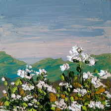 Cornflowers Sunset Hill