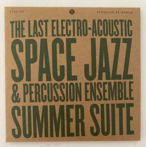Madlib last electro acoustic - madlib,